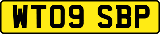 WT09SBP