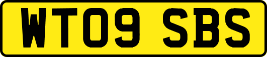 WT09SBS