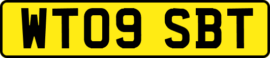 WT09SBT
