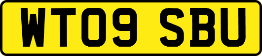 WT09SBU