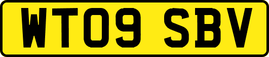 WT09SBV