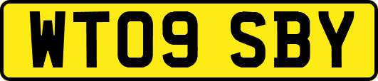 WT09SBY