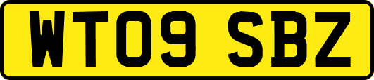 WT09SBZ