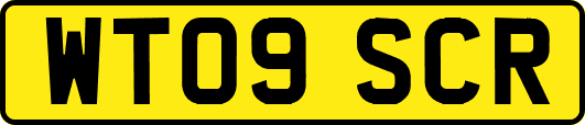 WT09SCR