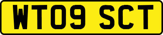 WT09SCT