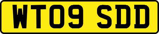 WT09SDD