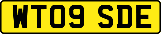 WT09SDE