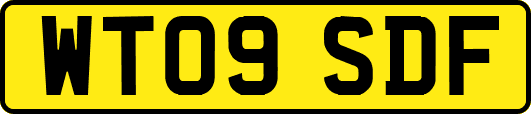 WT09SDF