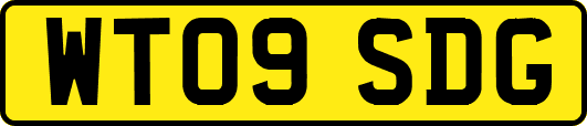 WT09SDG