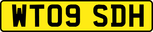 WT09SDH