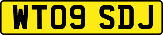 WT09SDJ