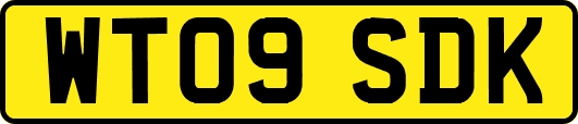 WT09SDK