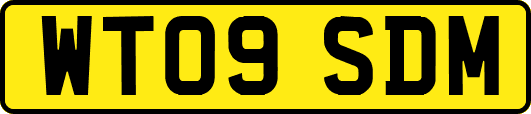 WT09SDM