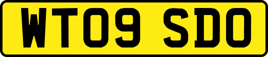 WT09SDO