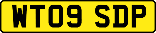 WT09SDP