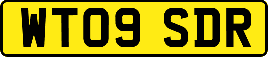 WT09SDR