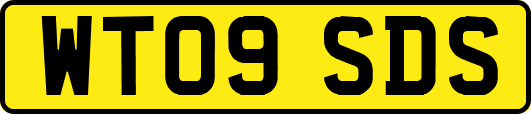 WT09SDS