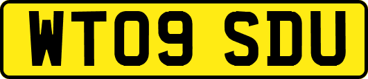 WT09SDU