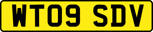 WT09SDV