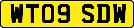 WT09SDW