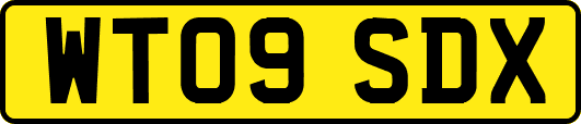 WT09SDX