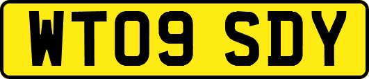 WT09SDY