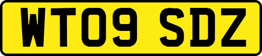 WT09SDZ