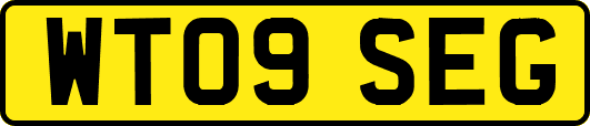 WT09SEG