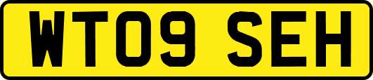 WT09SEH