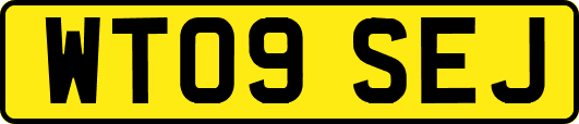 WT09SEJ