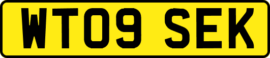 WT09SEK