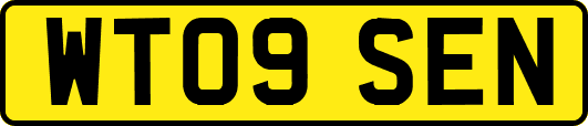 WT09SEN