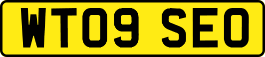 WT09SEO