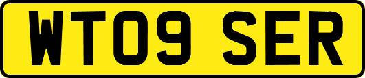 WT09SER