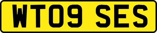 WT09SES