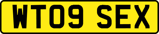 WT09SEX