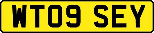WT09SEY