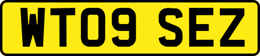 WT09SEZ