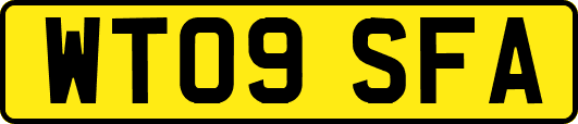WT09SFA