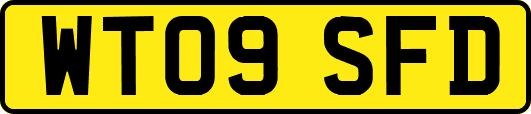 WT09SFD