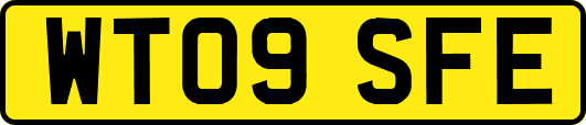 WT09SFE