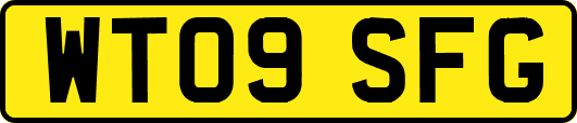 WT09SFG