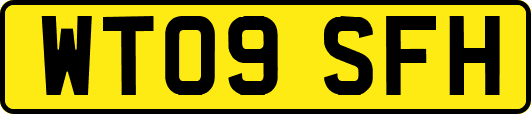 WT09SFH