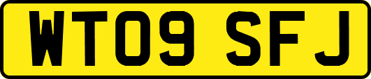 WT09SFJ