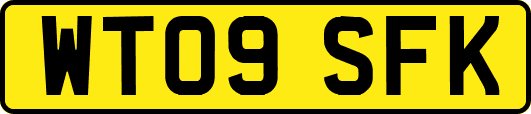 WT09SFK