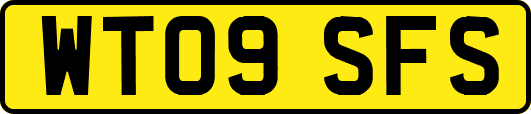 WT09SFS