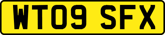 WT09SFX