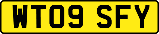 WT09SFY