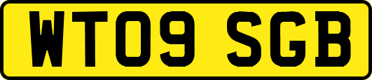 WT09SGB