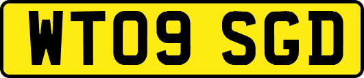 WT09SGD